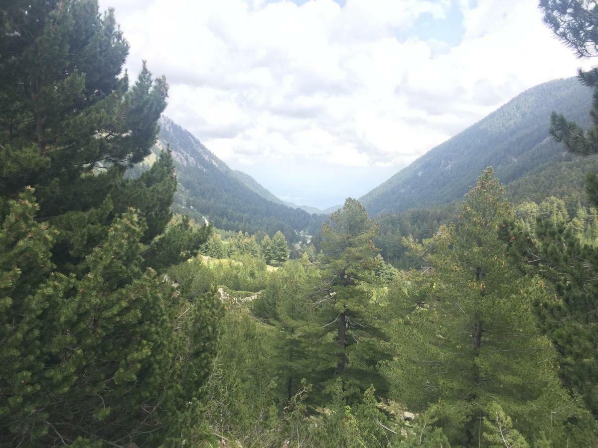 Belvedere holiday 4* Bansko Exterior foto